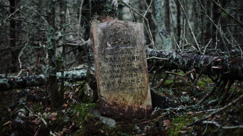 https://www.cbc.ca/news/canada/nova-scotia/photographer-quest-abandoned-cemeteries-1.5866319